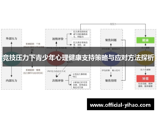 竞技压力下青少年心理健康支持策略与应对方法探析