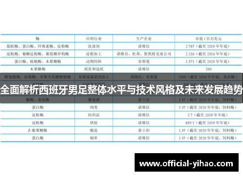 全面解析西班牙男足整体水平与技术风格及未来发展趋势